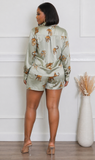 Safari Set